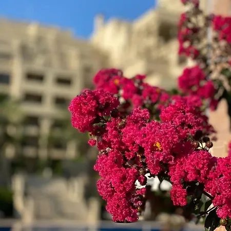 Apartment Argisht 647